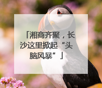 湘商齐聚，长沙这里掀起“头脑风暴”