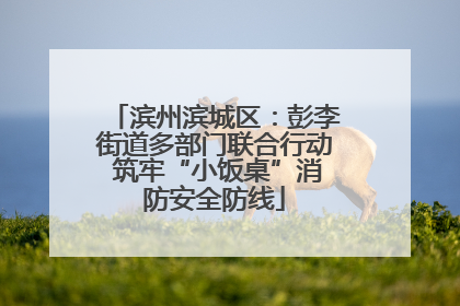 滨州滨城区：彭李街道多部门联合行动 筑牢“小饭桌”消防安全防线