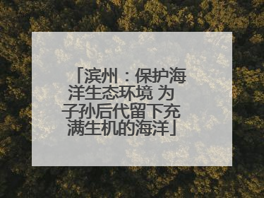 滨州：保护海洋生态环境 为子孙后代留下充满生机的海洋