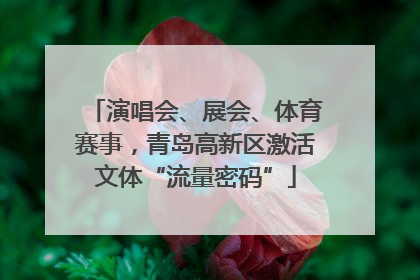 演唱会、展会、体育赛事，青岛高新区激活文体“流量密码”