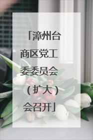 漳州台商区党工委委员会（扩大）会召开
