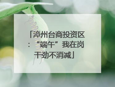 漳州台商投资区：“端午”我在岗 干劲不消减