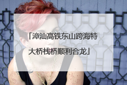 漳汕高铁东山跨海特大桥栈桥顺利合龙