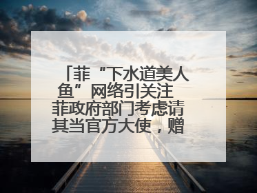 菲“下水道美人鱼”网络引关注 菲政府部门考虑请其当官方大使，赠现金开店