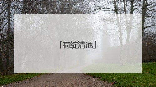荷绽清池