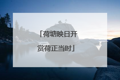 荷塘映日开 赏荷正当时