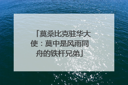 莫桑比克驻华大使：莫中是风雨同舟的铁杆兄弟