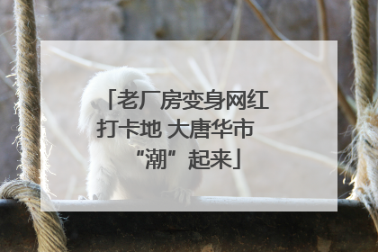 老厂房变身网红打卡地 大唐华市“潮”起来