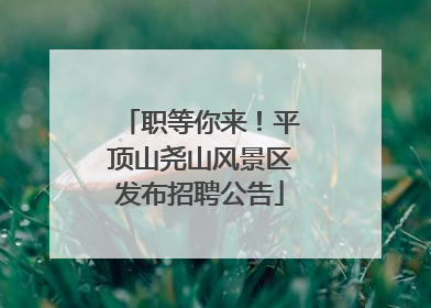 职等你来！平顶山尧山风景区发布招聘公告