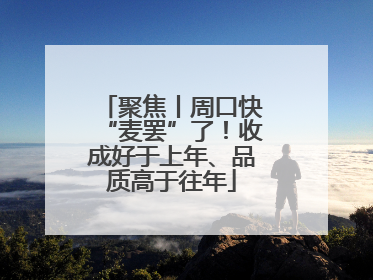 聚焦丨周口快“麦罢”了！收成好于上年、品质高于往年