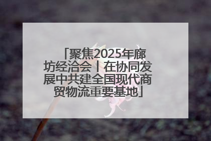 聚焦2025年廊坊经洽会丨在协同发展中共建全国现代商贸物流重要基地