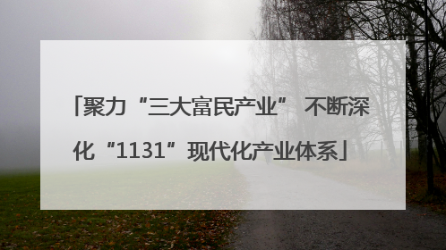 聚力“三大富民产业” 不断深化“1131”现代化产业体系