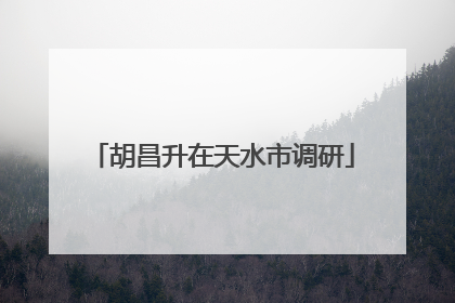 胡昌升在天水市调研