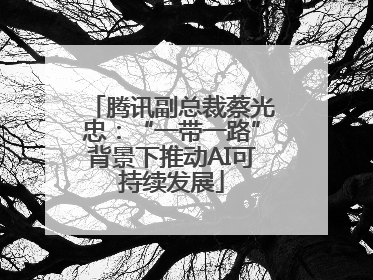 腾讯副总裁蔡光忠：“一带一路”背景下推动AI可持续发展