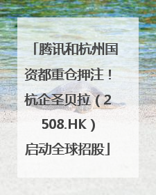 腾讯和杭州国资都重仓押注！杭企圣贝拉（2508.HK）启动全球招股