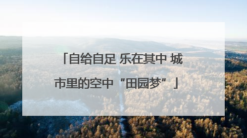 自给自足 乐在其中 城市里的空中“田园梦”