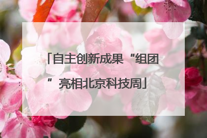 自主创新成果“组团”亮相北京科技周