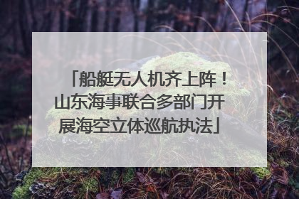 船艇无人机齐上阵！山东海事联合多部门开展海空立体巡航执法