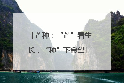 芒种：“芒”着生长，“种”下希望