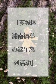 芗城区浦南镇举办端午系列活动