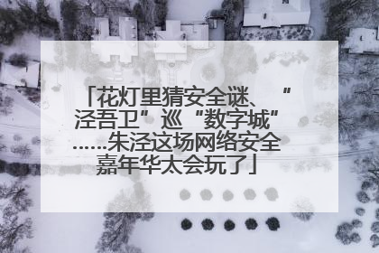 花灯里猜安全谜、“泾吾卫”巡“数字城”……朱泾这场网络安全嘉年华太会玩了
