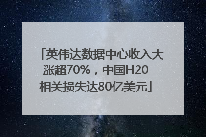 英伟达数据中心收入大涨超70%，中国H20相关损失达80亿美元