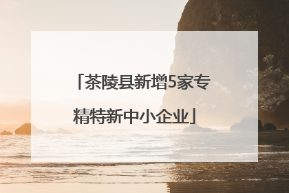 茶陵县新增5家专精特新中小企业
