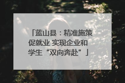 蓝山县：精准施策促就业 实现企业和学生“双向奔赴”
