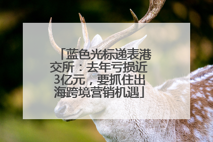 蓝色光标递表港交所：去年亏损近3亿元，要抓住出海跨境营销机遇
