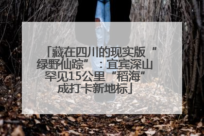 藏在四川的现实版“绿野仙踪”：宜宾深山罕见15公里“稻海”成打卡新地标