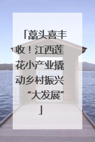 藠头喜丰收！江西莲花小产业撬动乡村振兴“大发展”