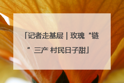 记者走基层｜玫瑰“链”三产 村民日子甜