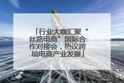行业大咖汇聚“丝路电商”国际合作对接会，热议跨境电商产业发展