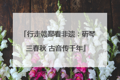 行走赣鄱看非遗：斫琴三春秋 古音传千年