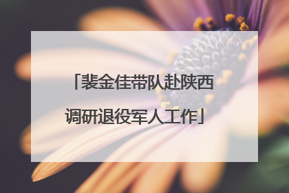裴金佳带队赴陕西调研退役军人工作