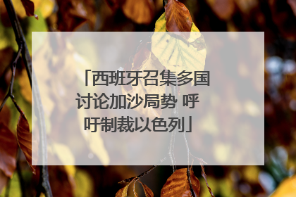 西班牙召集多国讨论加沙局势 呼吁制裁以色列