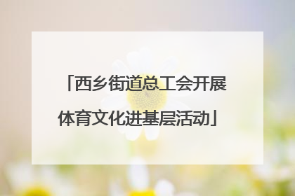 西乡街道总工会开展体育文化进基层活动