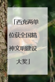 西充两单位获全国精神文明建设大奖