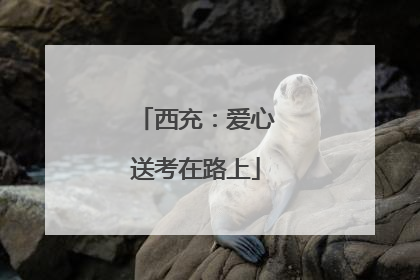 西充：爱心送考在路上