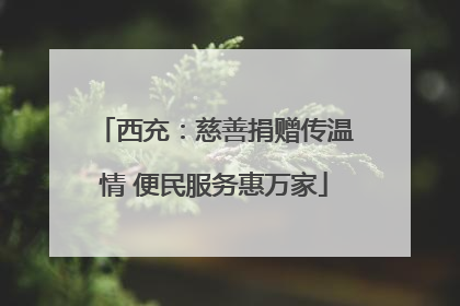 西充：慈善捐赠传温情 便民服务惠万家