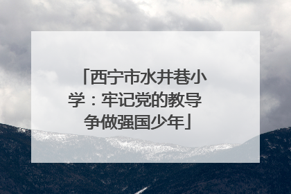 西宁市水井巷小学：牢记党的教导 争做强国少年