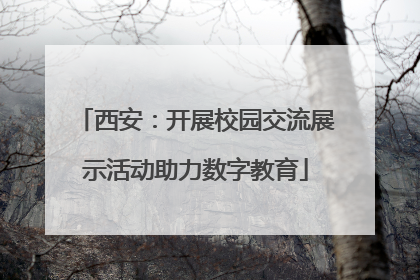 西安：开展校园交流展示活动助力数字教育