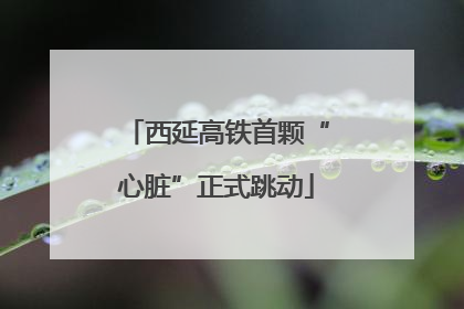 西延高铁首颗“心脏”正式跳动