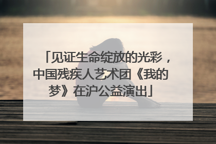 见证生命绽放的光彩，中国残疾人艺术团《我的梦》在沪公益演出