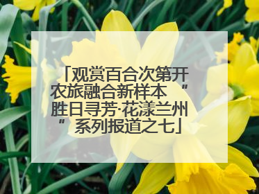 观赏百合次第开 农旅融合新样本 “胜日寻芳·花漾兰州”系列报道之七