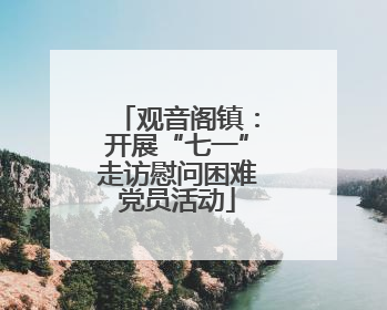 观音阁镇：开展“七一”走访慰问困难党员活动