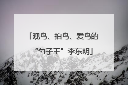 观鸟、拍鸟、爱鸟的“勺子王”李东明