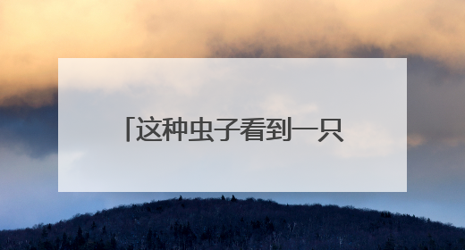 这种虫子看到一只，家里很可能已有一万只（不是蟑螂）