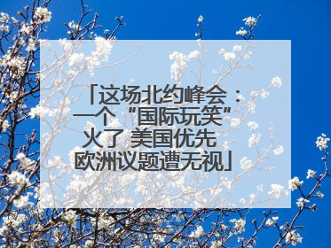 这场北约峰会：一个“国际玩笑”火了 美国优先 欧洲议题遭无视