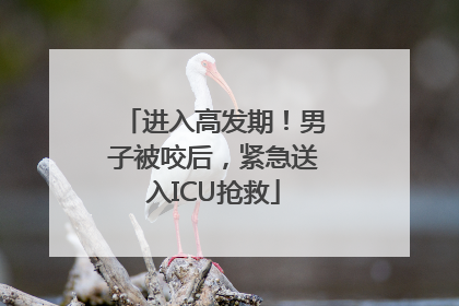 进入高发期！男子被咬后，紧急送入ICU抢救